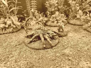 Alien Zoology auf der WaterCONt 2025 - "Guck mal was die Katze reingebracht hat..."